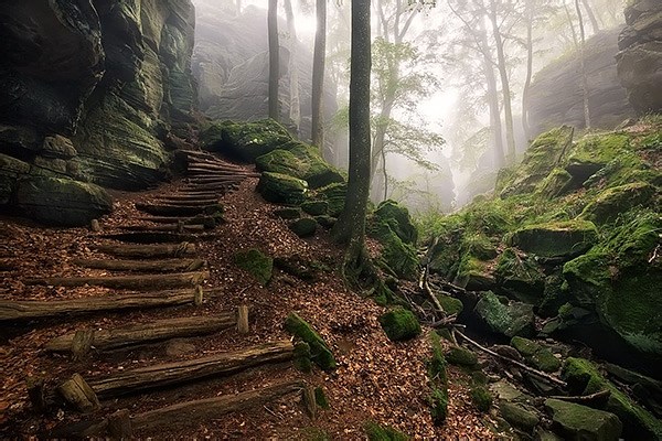风景